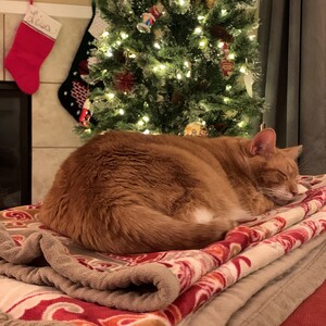 Fundraising Page: Lisa Hiller